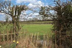 Photo 10- click for photo gallery